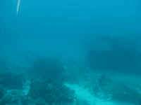 wpe30.jpg (30247 �o�C�g)